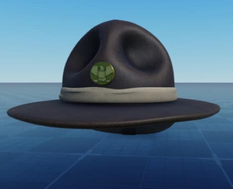 Dark campaign hat with a green emblem badge and cream band, rendered over a blue sky